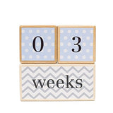 LovelySprouts Milestone Age Blocks, Blue