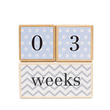 LovelySprouts Milestone Age Blocks, Blue