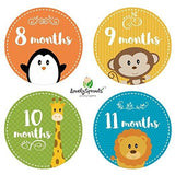 LovelySprouts Monthly Baby Stickers - 24 Pack