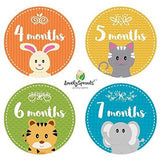 LovelySprouts Monthly Baby Stickers - 24 Pack