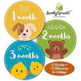 LovelySprouts Monthly Baby Stickers - 24 Pack
