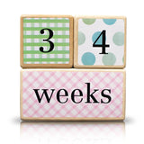 LovelySprouts Milestone Age Blocks, Neutral