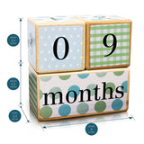 LovelySprouts Milestone Age Blocks, Neutral