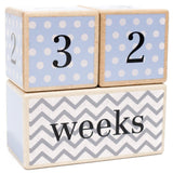 LovelySprouts Milestone Age Blocks, Blue